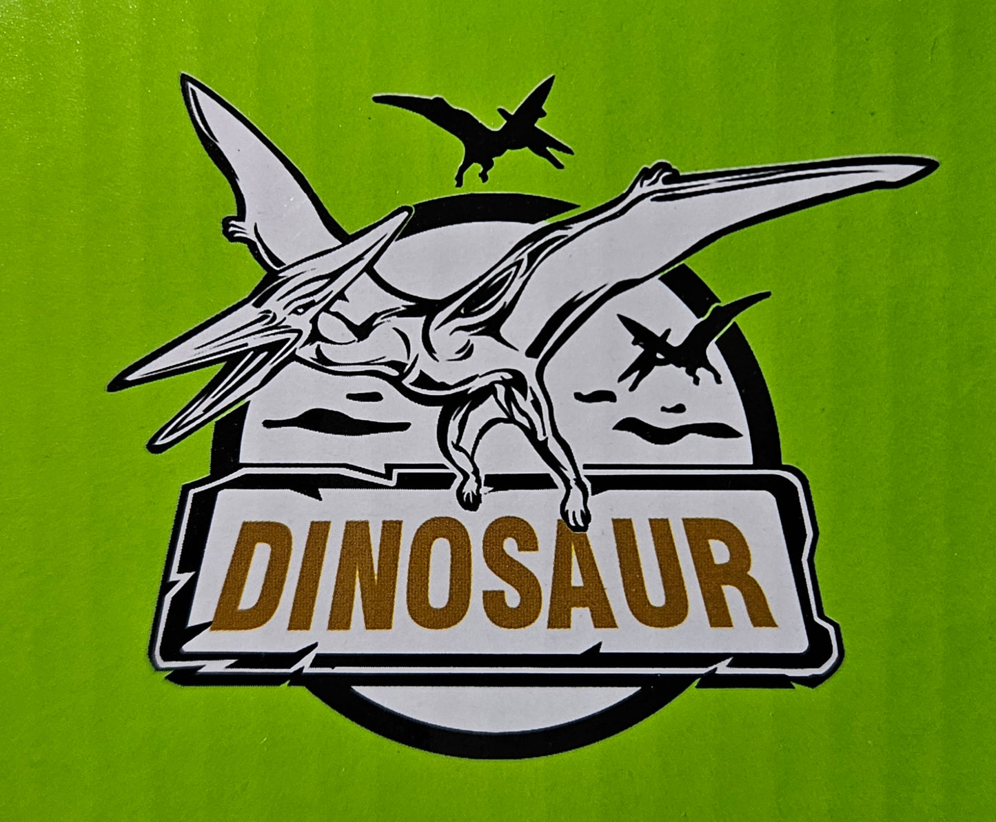 Dinosaur Block Set – 3" Capsules (6-Pack)