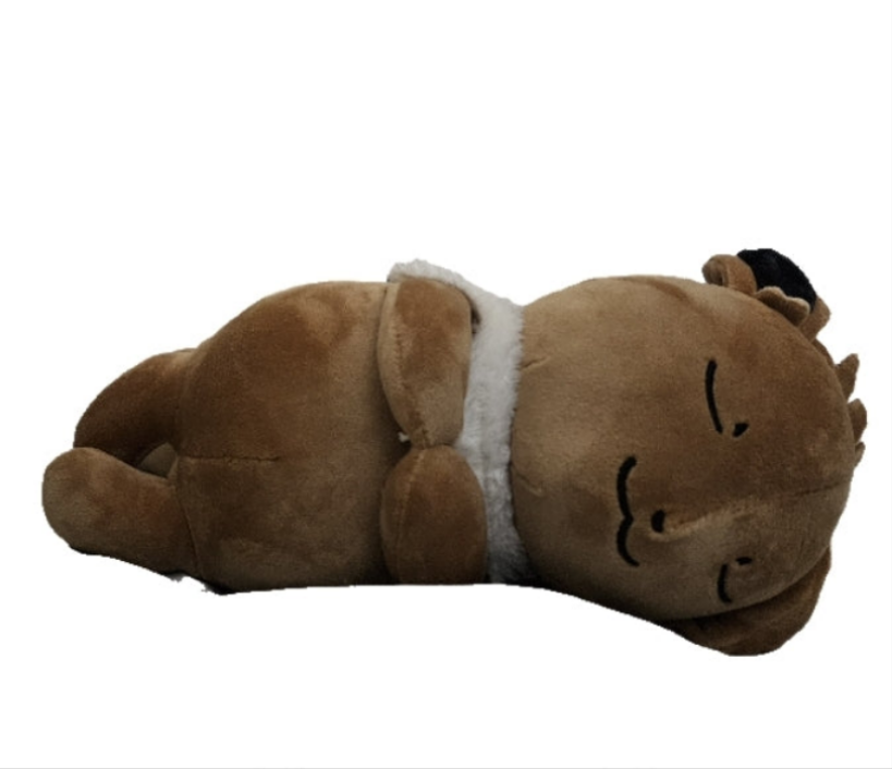Cute Sleeping Plush (8-inch)