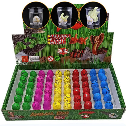 Hatching Dinosaur Egg - Growing Dino
